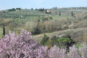 Gli Oleandri di Belfiore Lastra A Signa